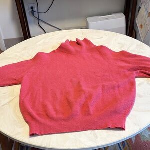The Limited Vibrant Pink Turtleneck Sweater